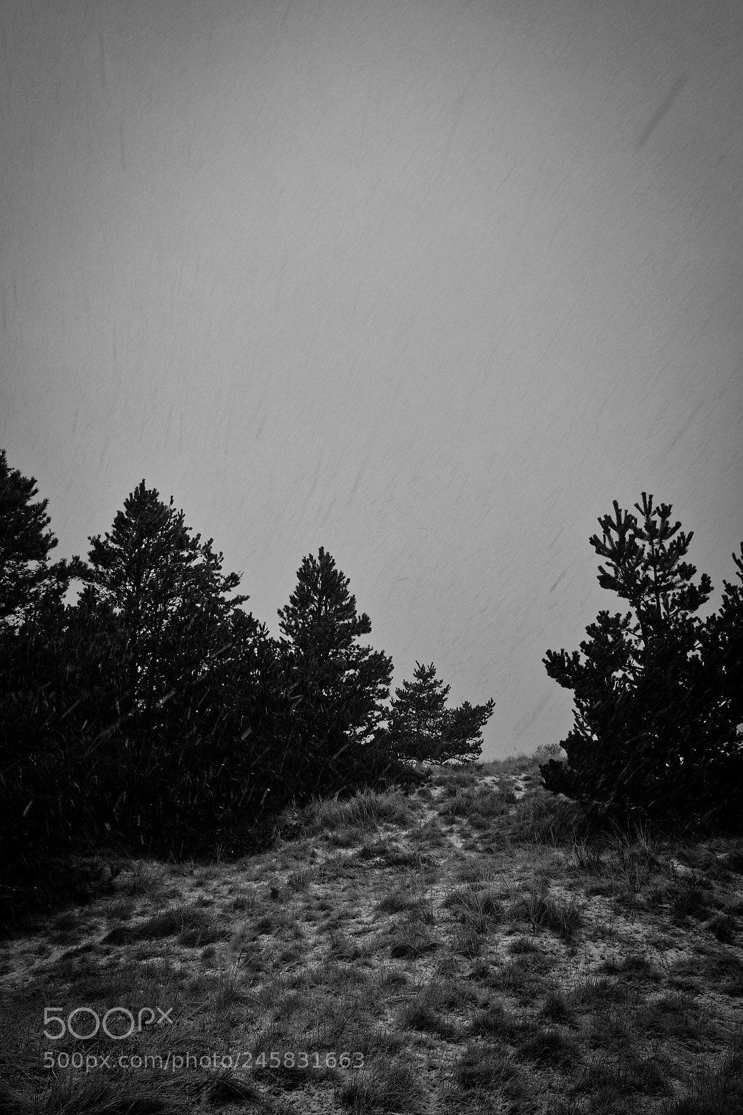 Fujifilm X70 sample photo. Wet snow 1 photography