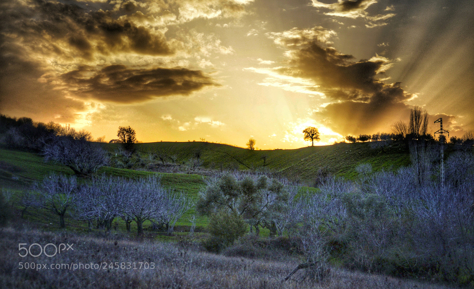 Nikon D5100 sample photo. Sunset and sky photography