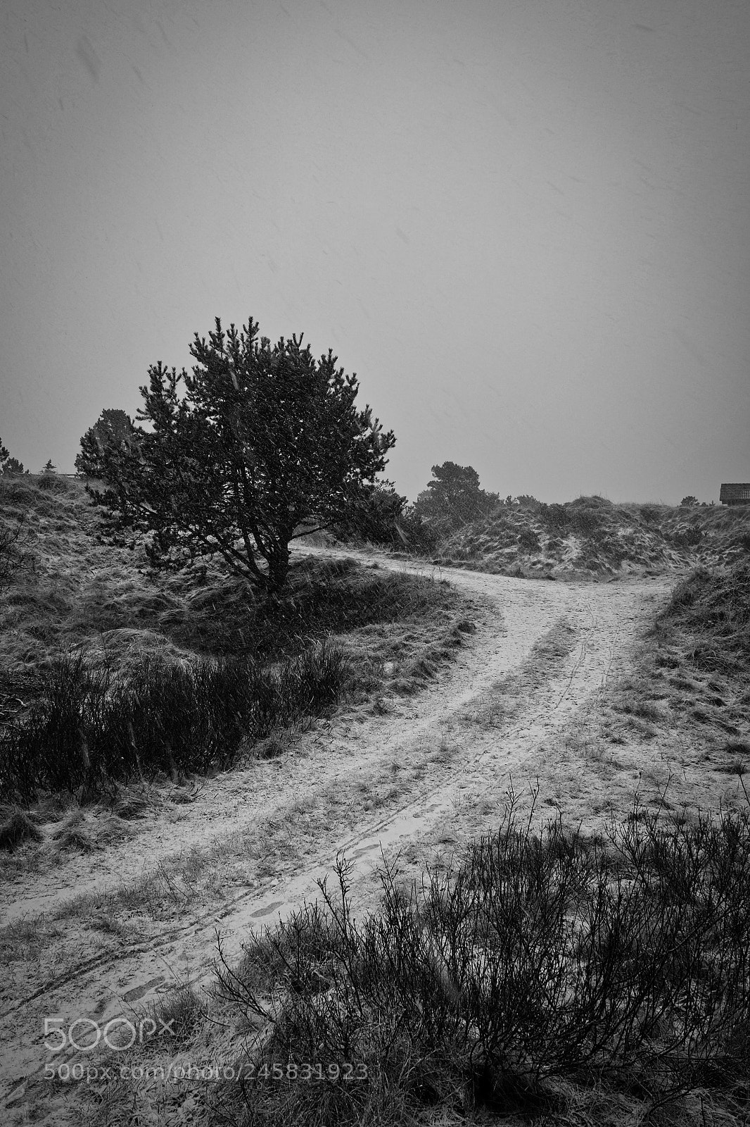 Fujifilm X70 sample photo. Wet snow 2 photography