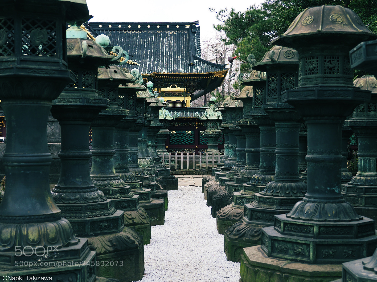 Olympus OM-D E-M1 Mark II sample photo. Majesty of tokugawa photography