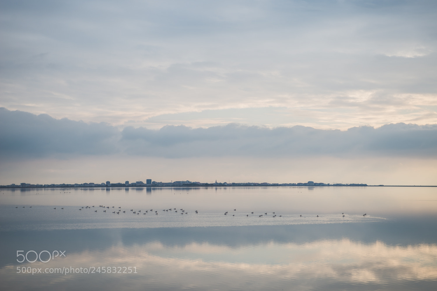 Nikon D610 sample photo. Cloud city photography