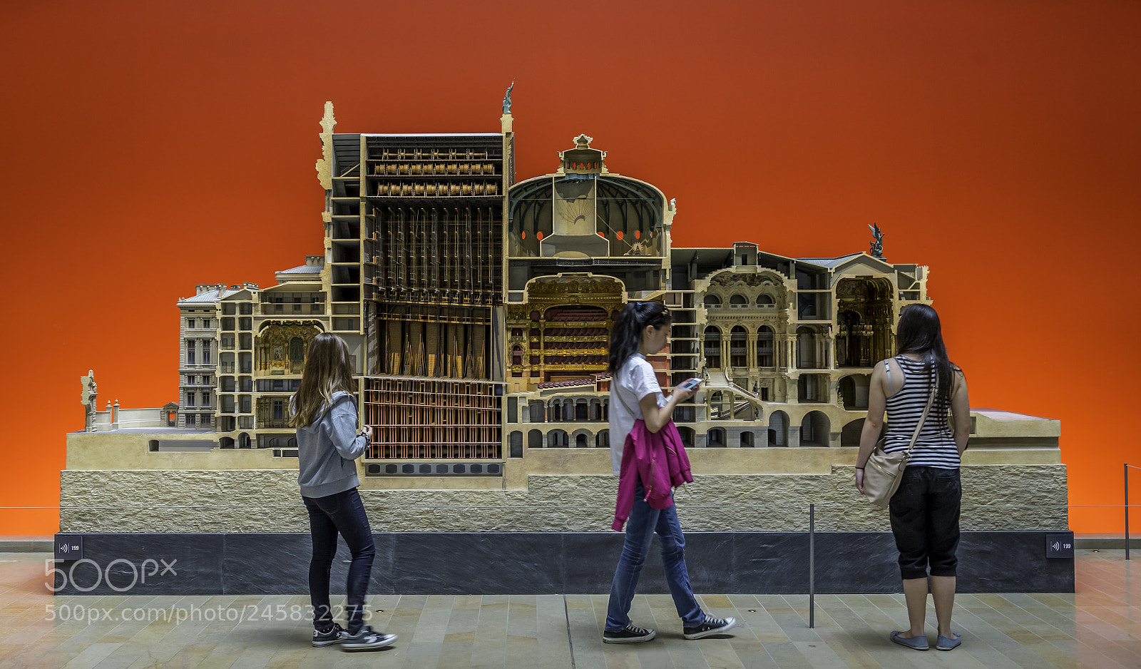 Nikon D610 sample photo. Cutaway photography