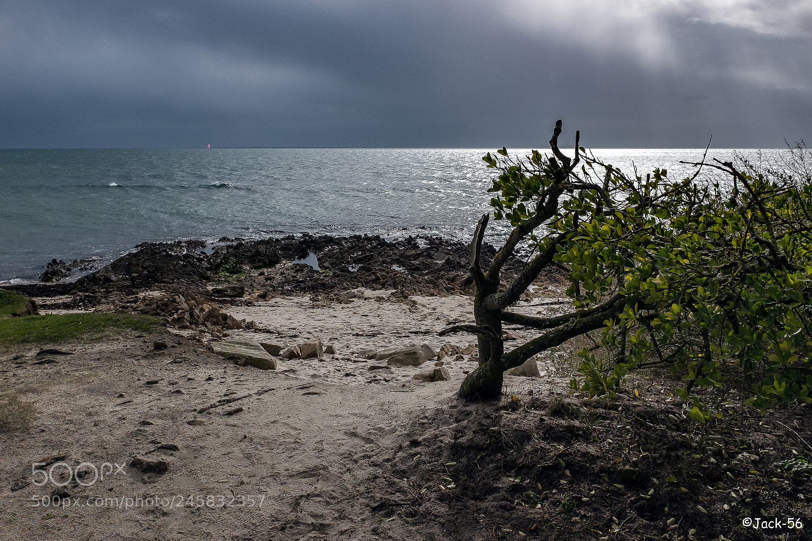 Fujifilm X100T sample photo. La voile rose photography