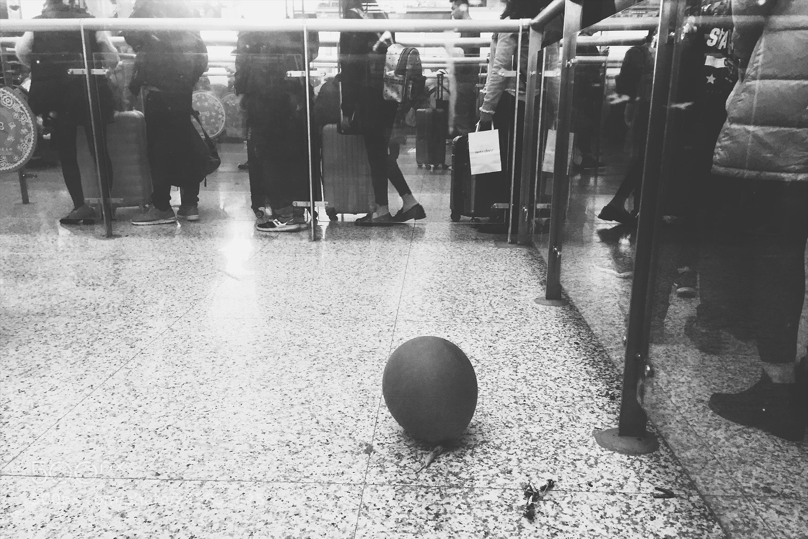 Apple iPhone 6 sample photo. Untitled photography