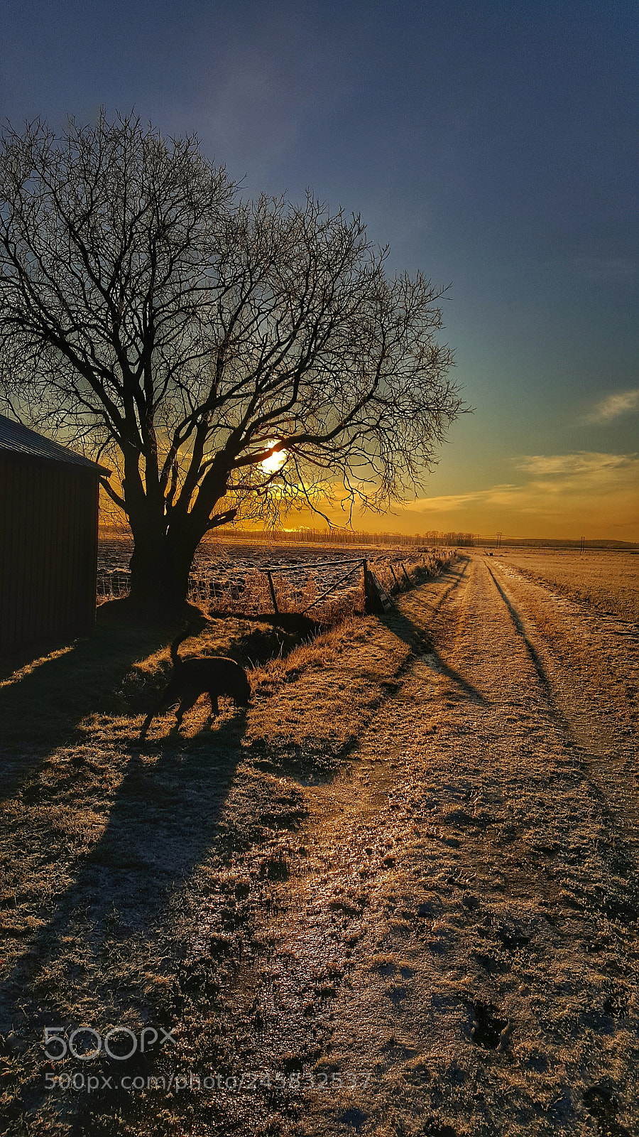 Samsung Galaxy S6 sample photo. Autumn in the countryside photography