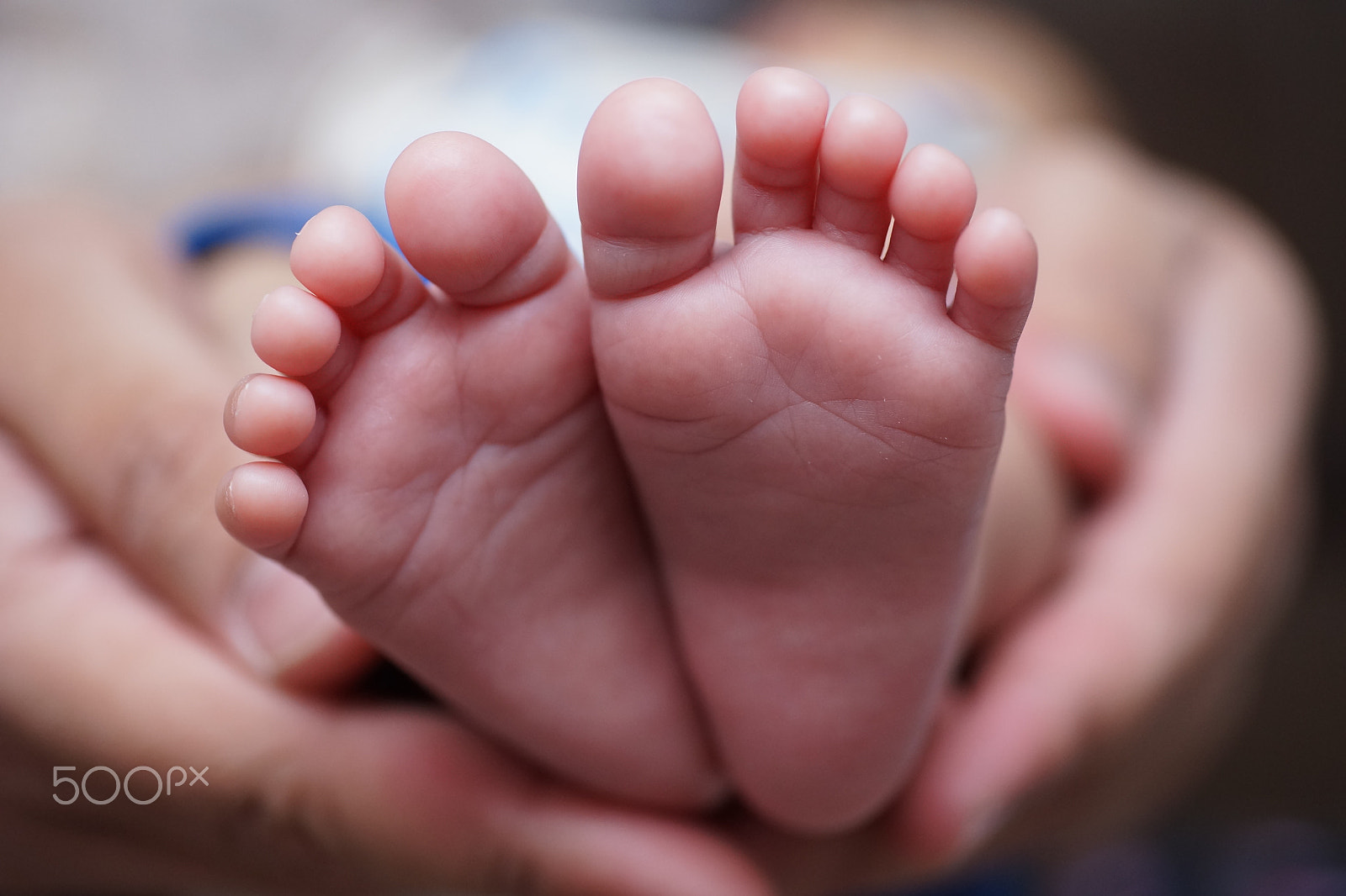 Minolta AF 50mm F3.5 Macro sample photo. Yusuf firas foots.jpg photography