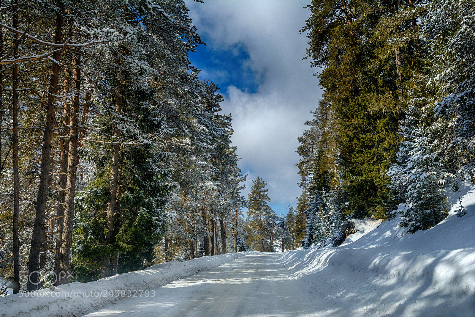 Nikon D7100 sample photo. Snow road photography