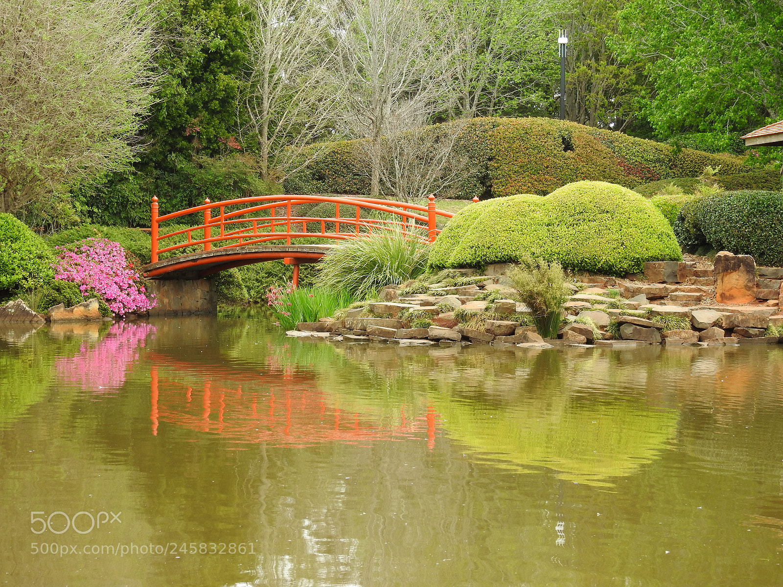 Nikon Coolpix P900 sample photo. Japanese garden photography