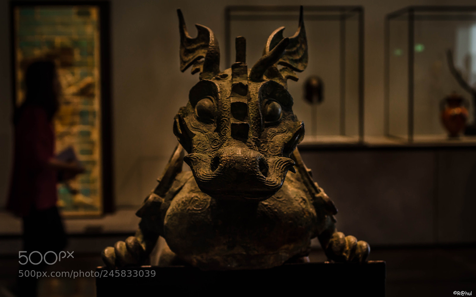 Nikon D5100 sample photo. The dragon photography