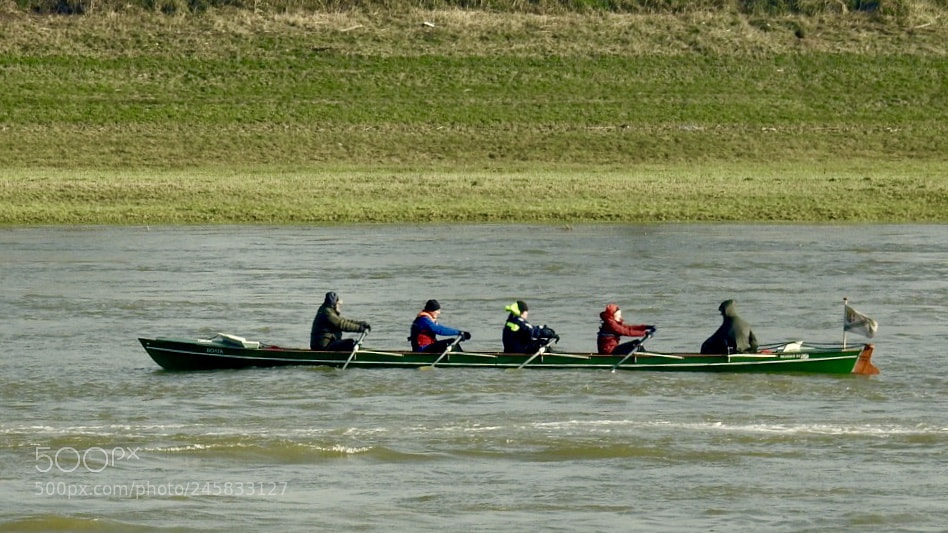 Nikon Coolpix P900 sample photo. Rowing at the rhine photography