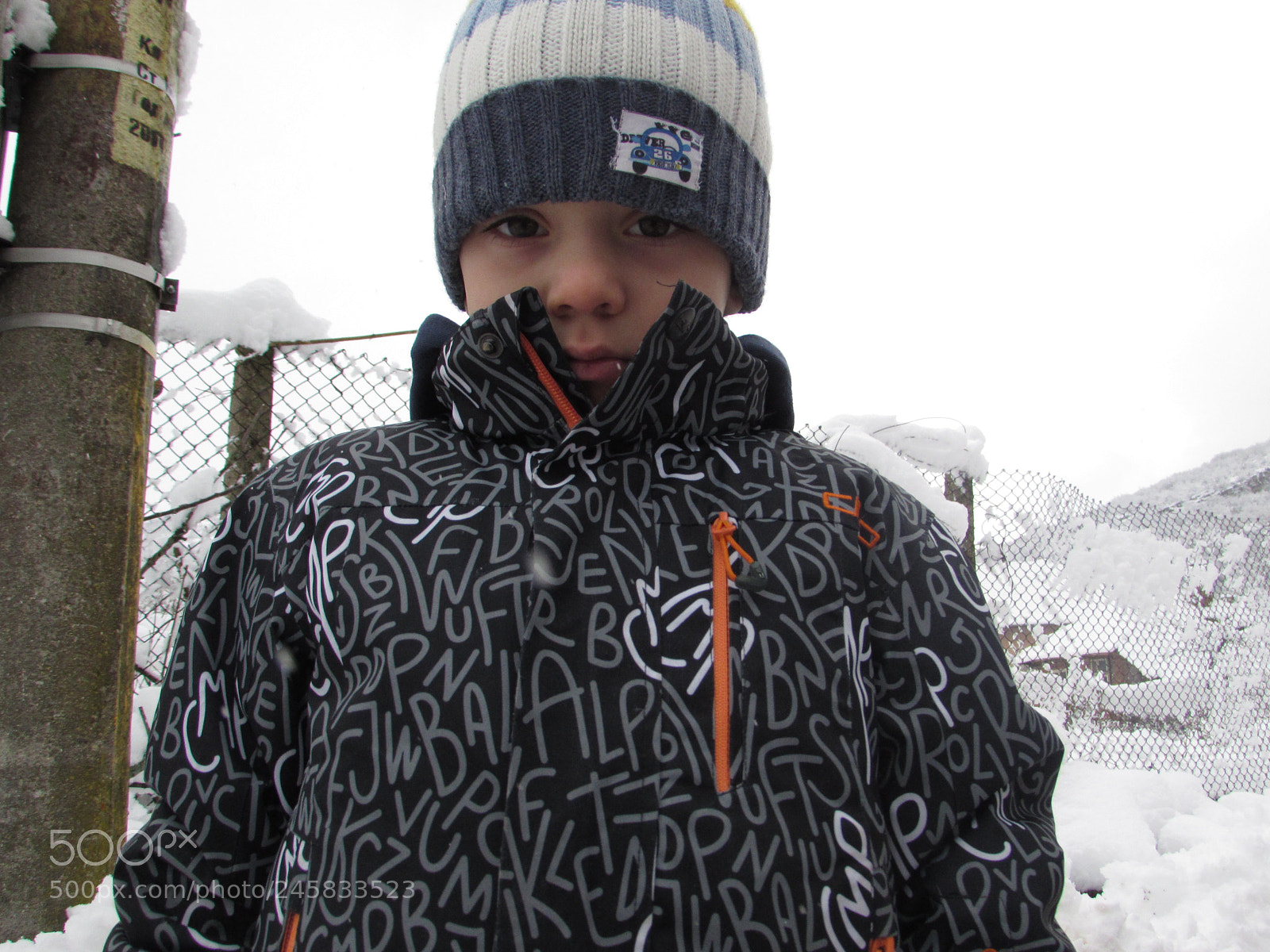 Canon PowerShot SX510 HS sample photo. I’m freezing... photography
