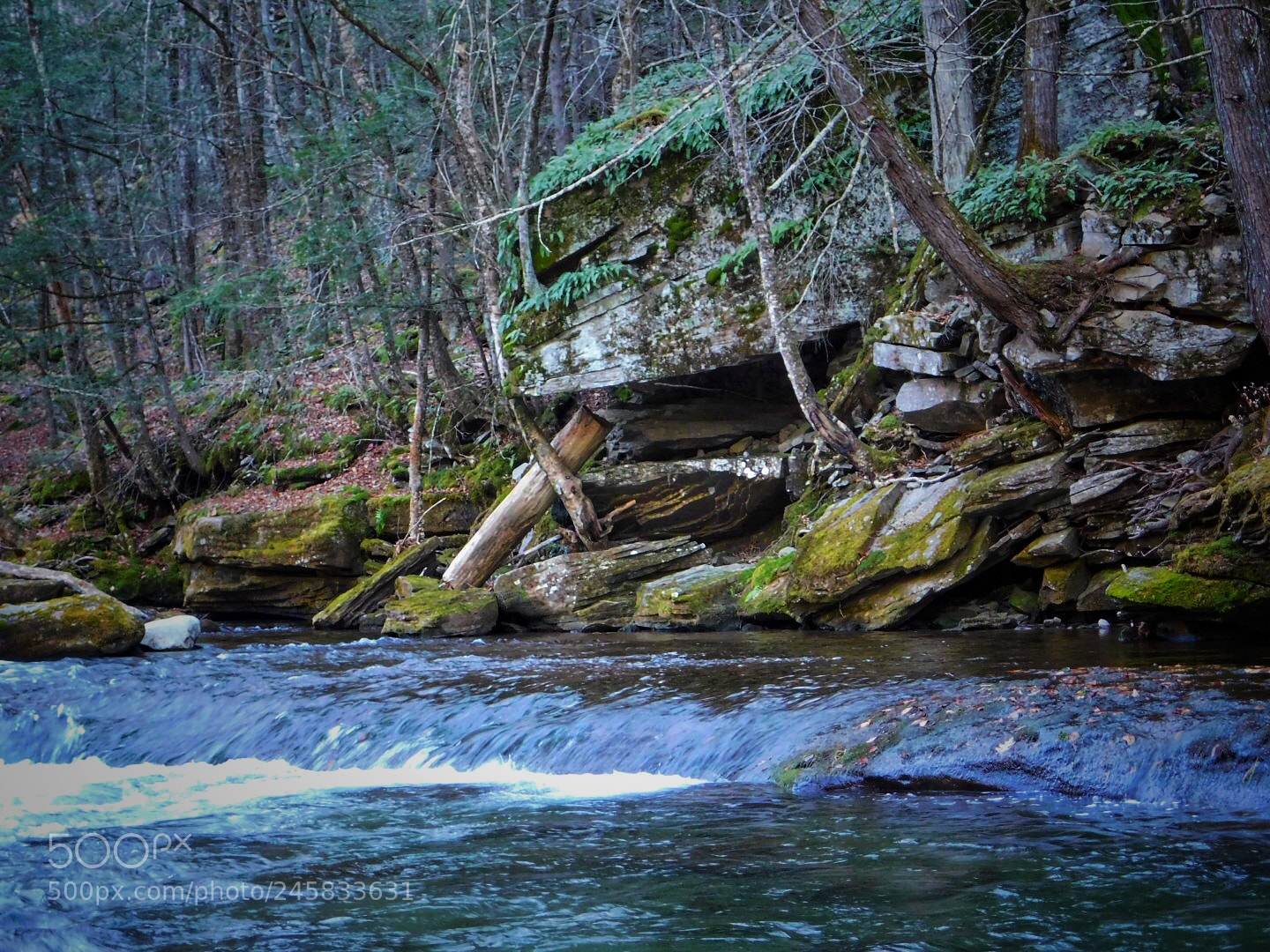 Nikon Coolpix B500 sample photo. Creek running through the photography