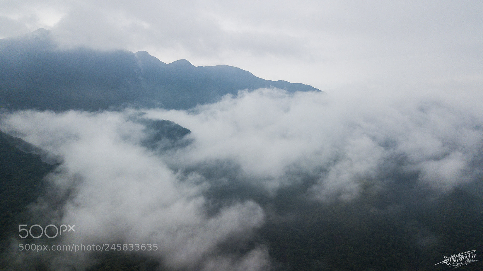 DJI FC220 sample photo. Shenzhen photography