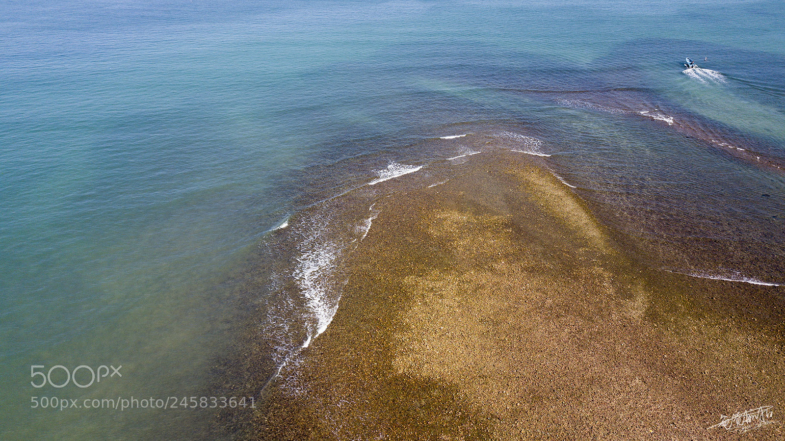 DJI FC220 sample photo. Shenzhen photography