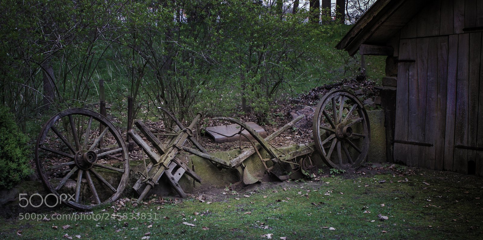 Canon EOS 600D (Rebel EOS T3i / EOS Kiss X5) sample photo. Edit edit edit photography