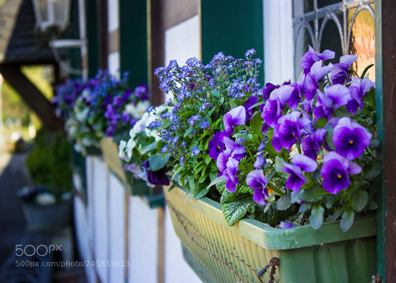 Canon EOS 600D (Rebel EOS T3i / EOS Kiss X5) sample photo. Edit edit photography