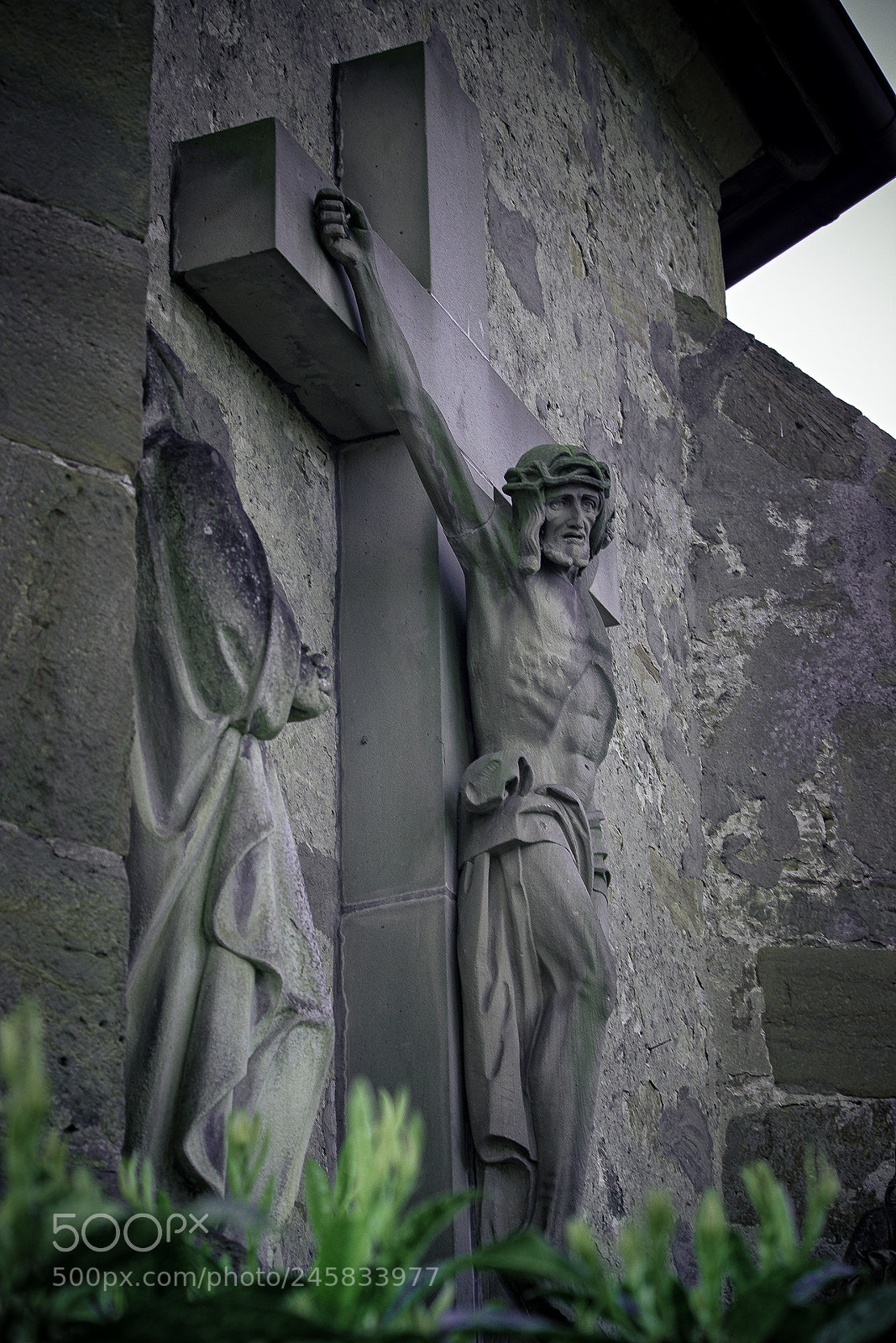 Canon EOS 600D (Rebel EOS T3i / EOS Kiss X5) sample photo. Edit edit photography