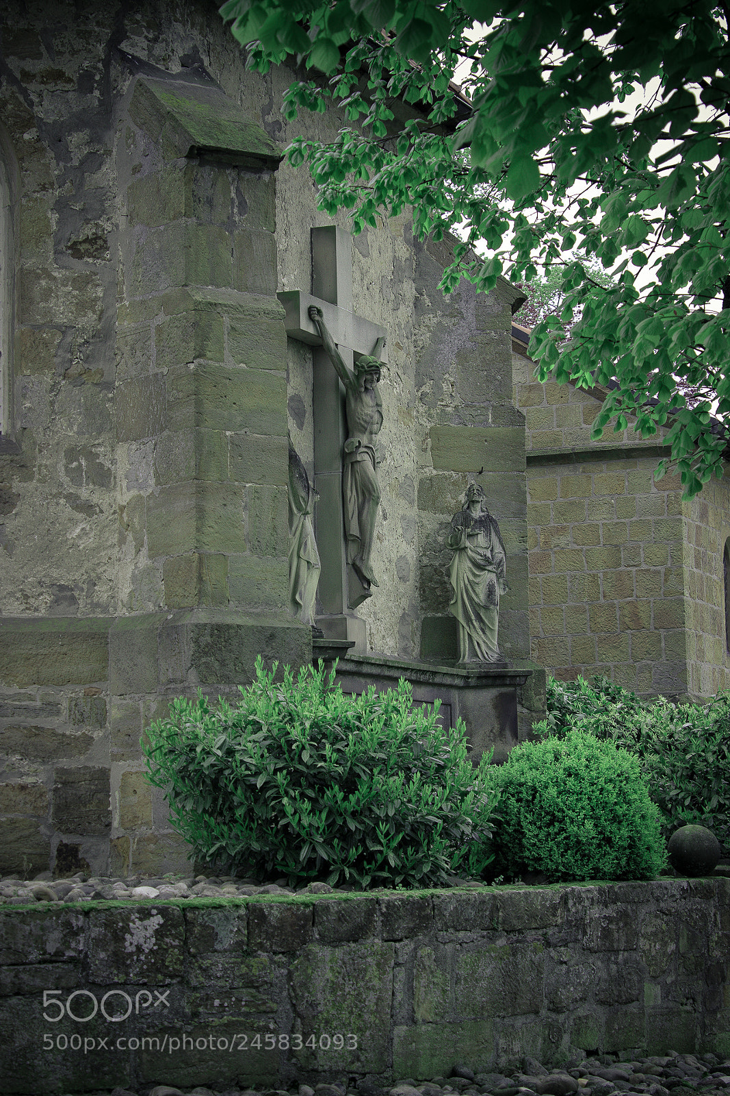 Canon EOS 600D (Rebel EOS T3i / EOS Kiss X5) sample photo. Edit photography