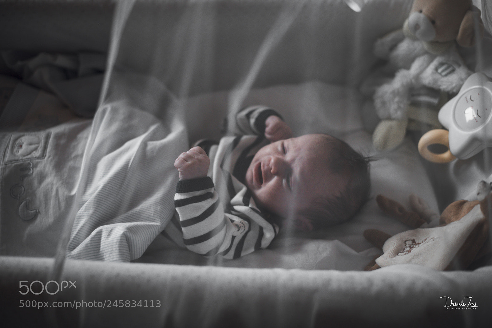 Nikon D800 sample photo. Bimbo photography