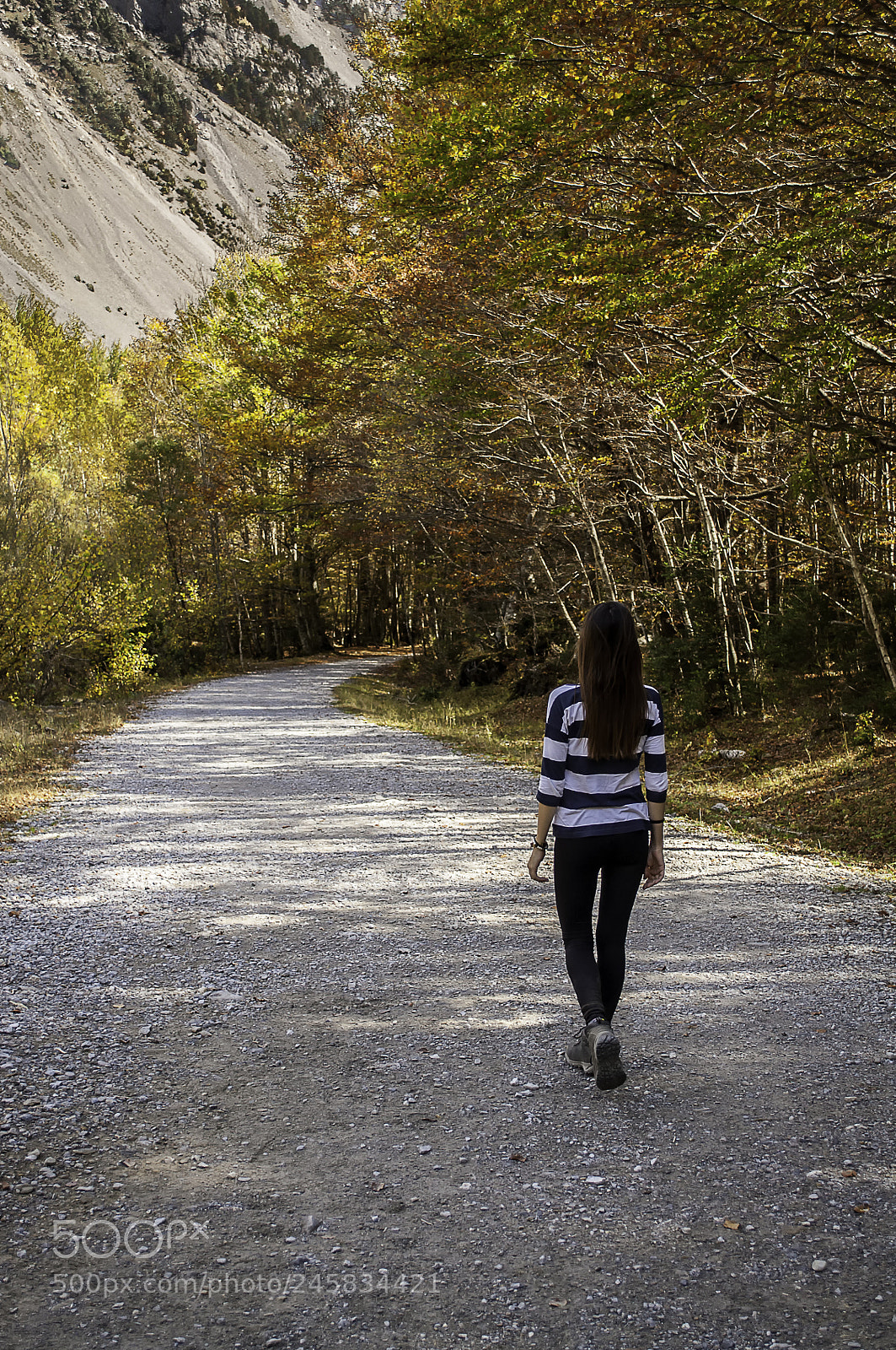 Nikon D5000 sample photo. Road photography