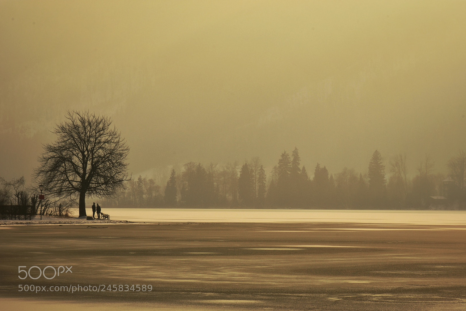 Nikon D3400 sample photo. Schliersee photography