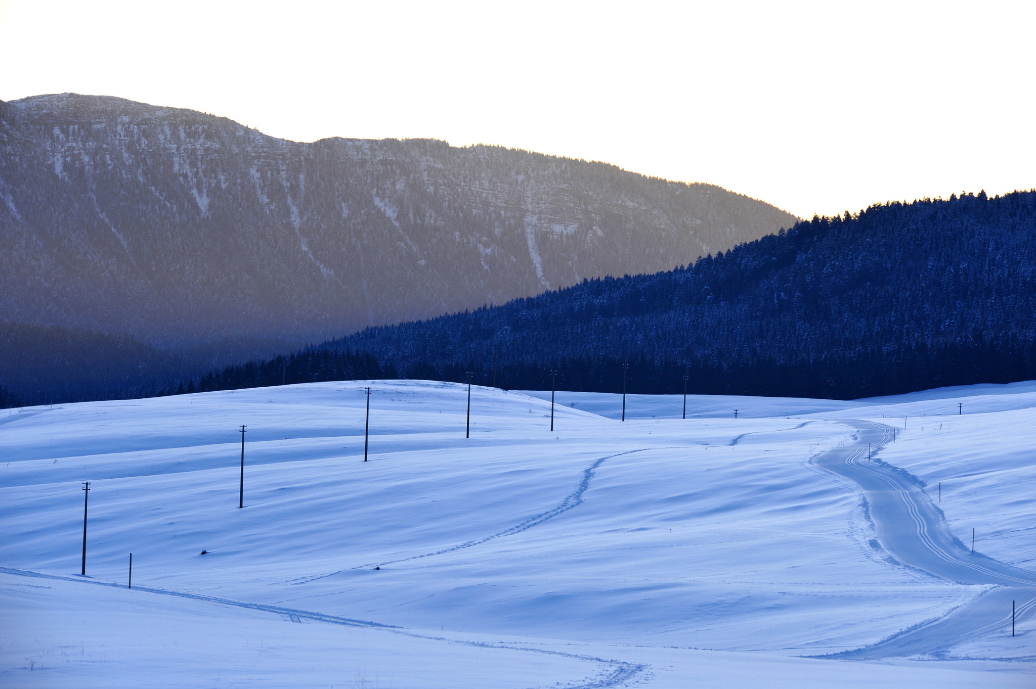 Sigma 150-500mm F5-6.3 DG OS HSM sample photo. Blue lines photography