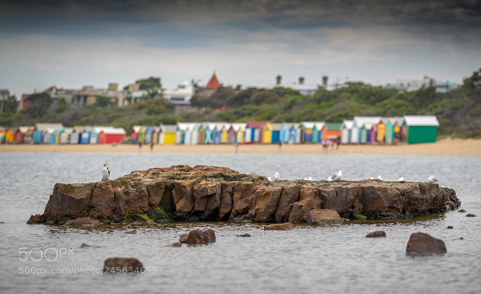 Nikon D5 sample photo. Brighton, melbourne photography