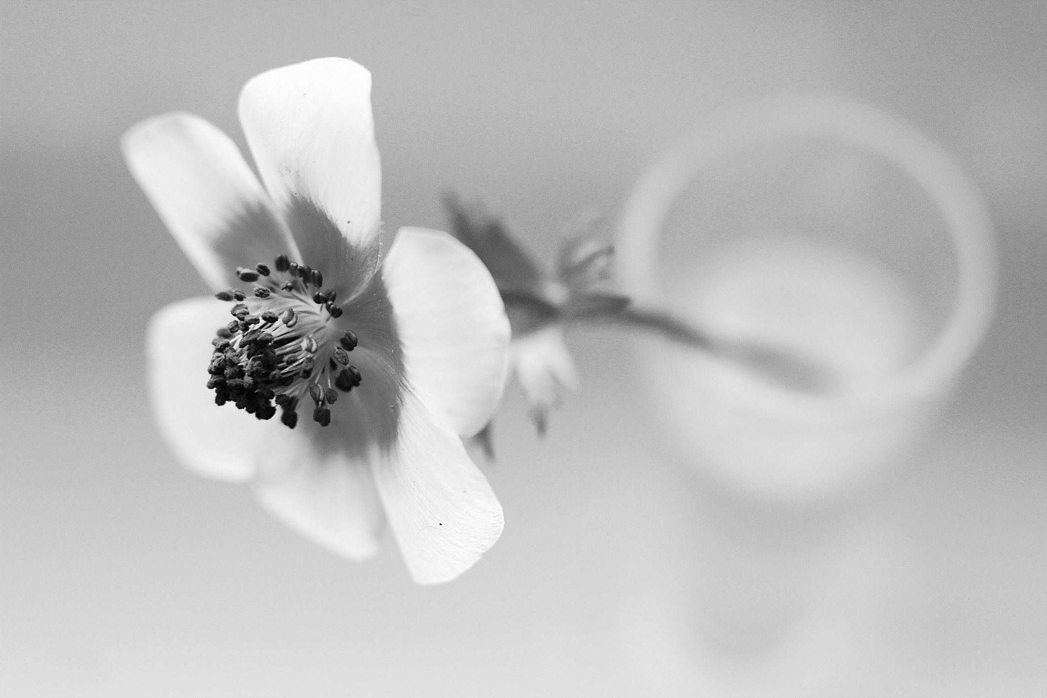 Canon EOS 60D + Canon EF 50mm F1.4 USM sample photo. Hello... photography