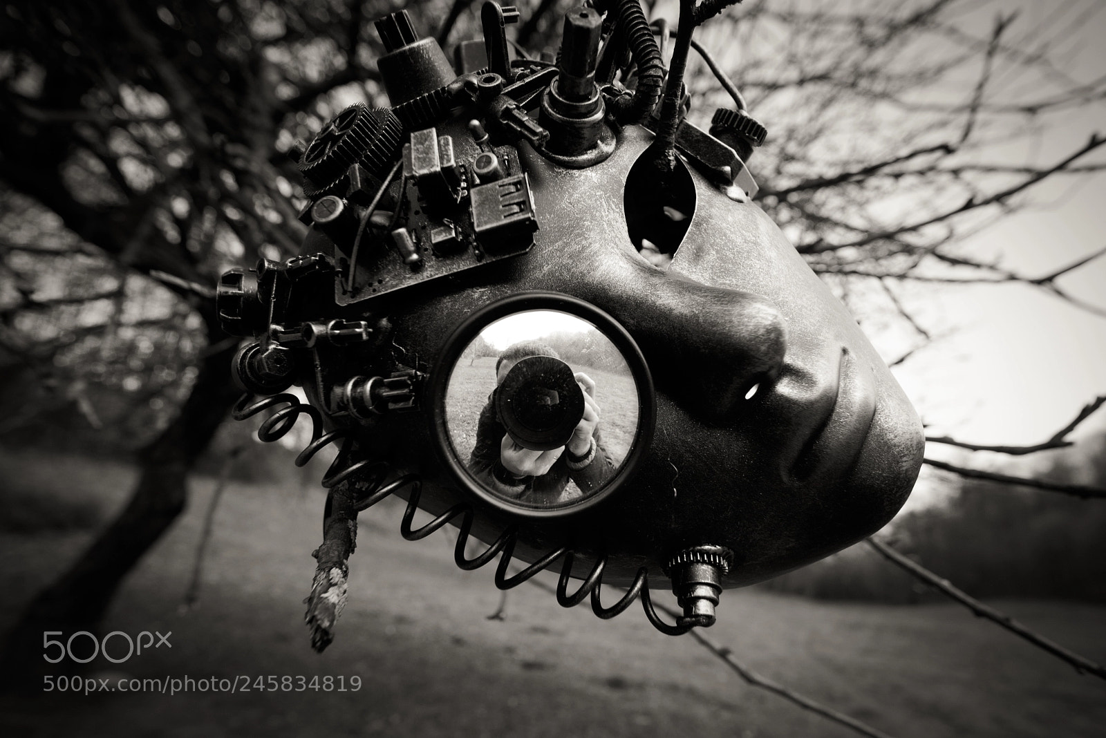 Nikon D610 sample photo. _(o) photographer's eye_ photography