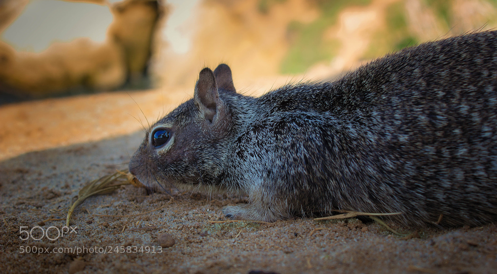 Canon EOS 600D (Rebel EOS T3i / EOS Kiss X5) sample photo. Edit edit edit photography