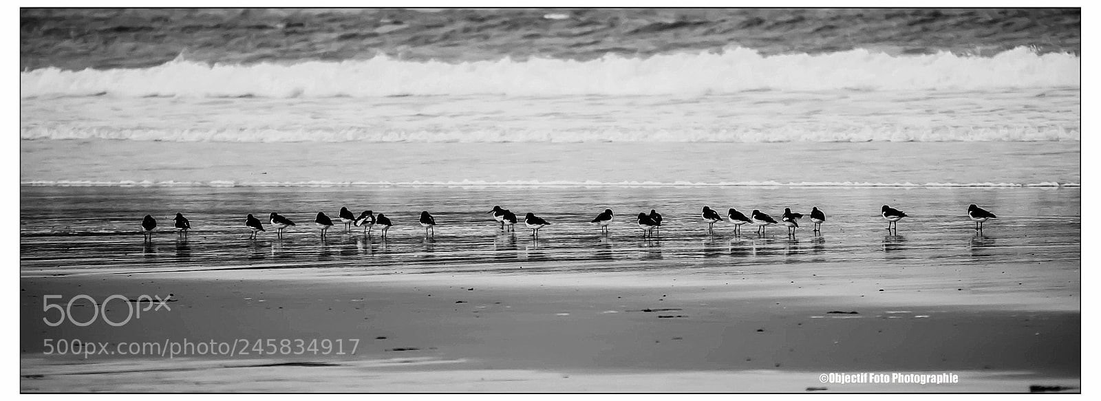 Nikon D300 sample photo. Untitled photography