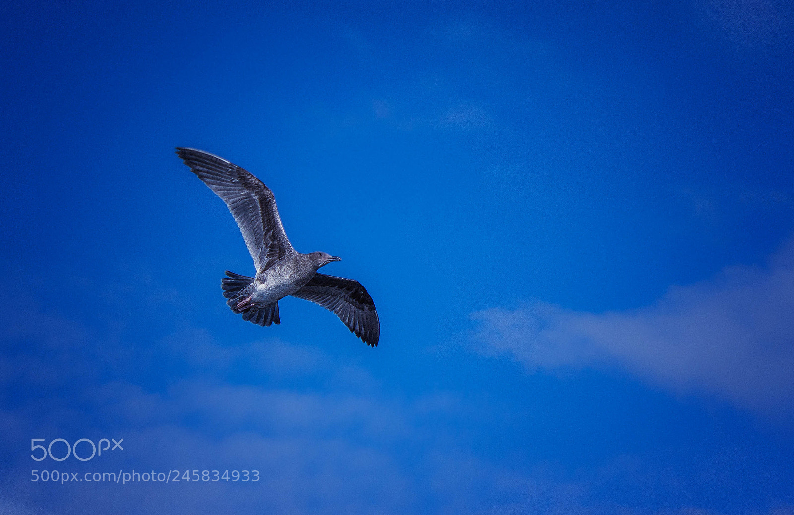 Canon EOS 600D (Rebel EOS T3i / EOS Kiss X5) sample photo. Edit edit edit edit photography