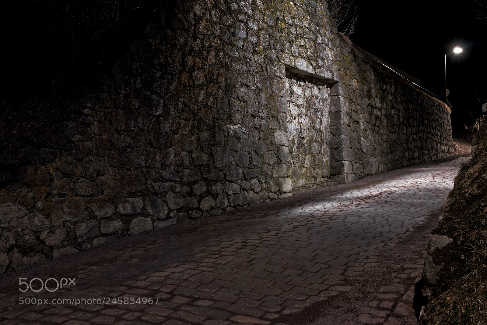 Canon EOS 50D sample photo. Gate through the rampart photography