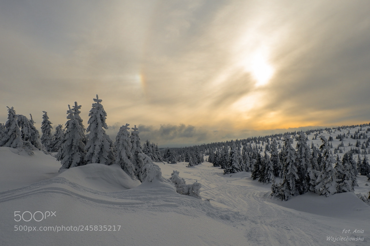 Fujifilm X-A10 sample photo. Karkonosze mountains photography