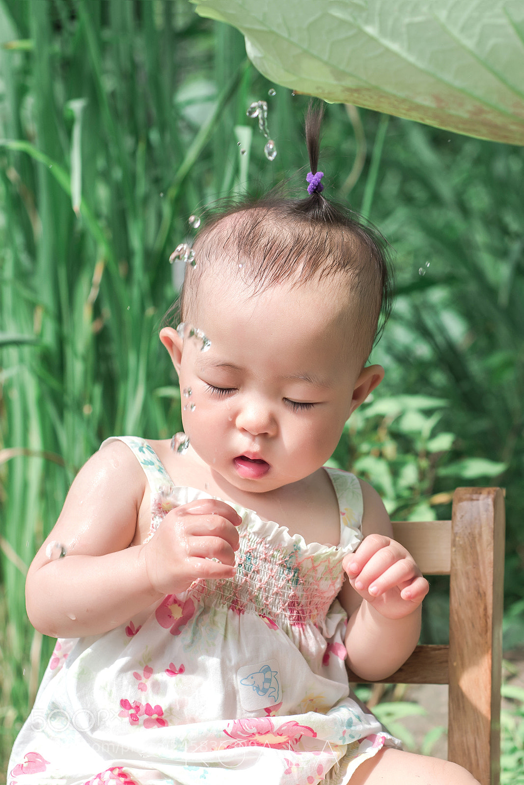 Nikon D810 sample photo. 夏荷 photography