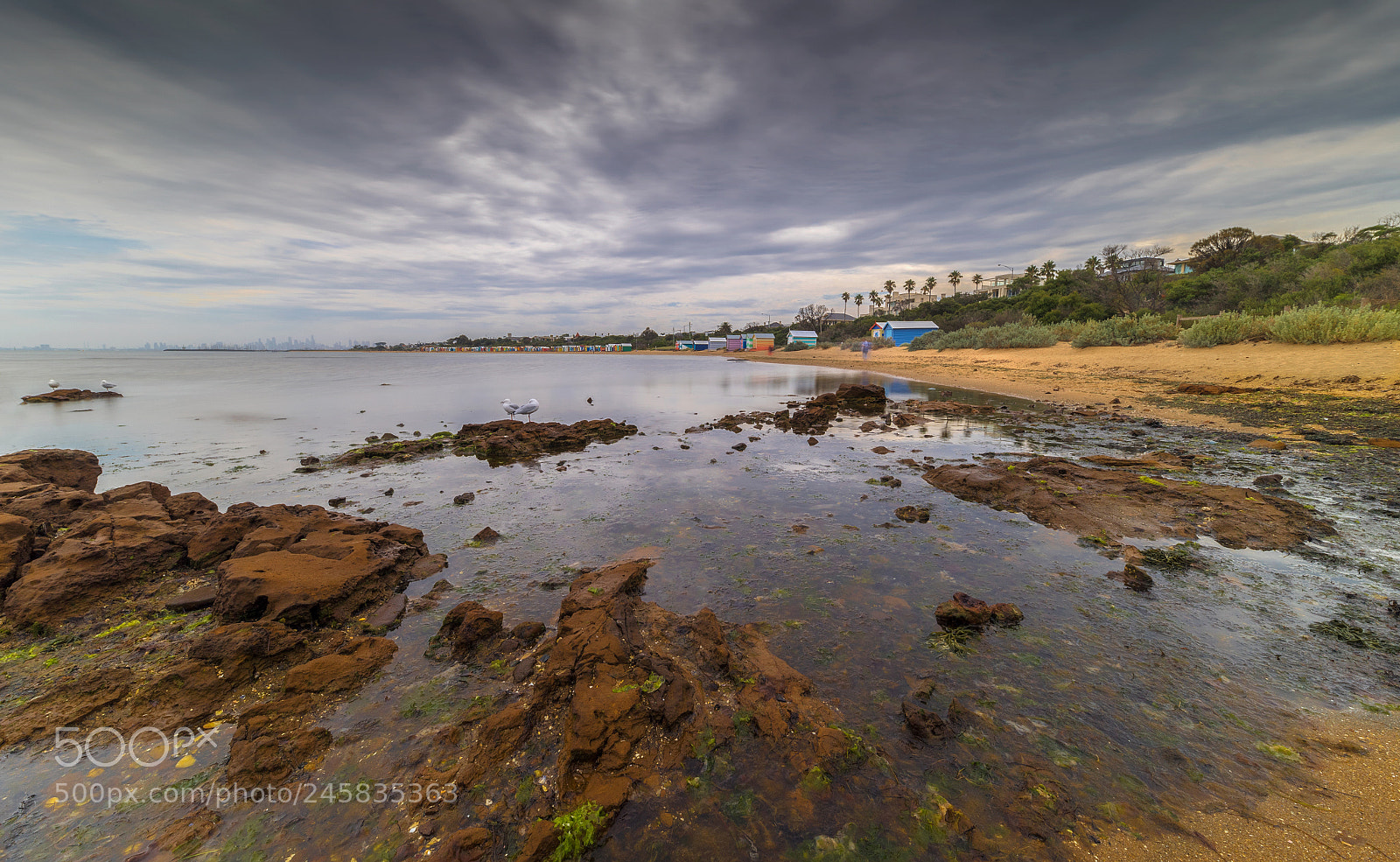 Nikon D5 sample photo. Brighton, melbourne photography