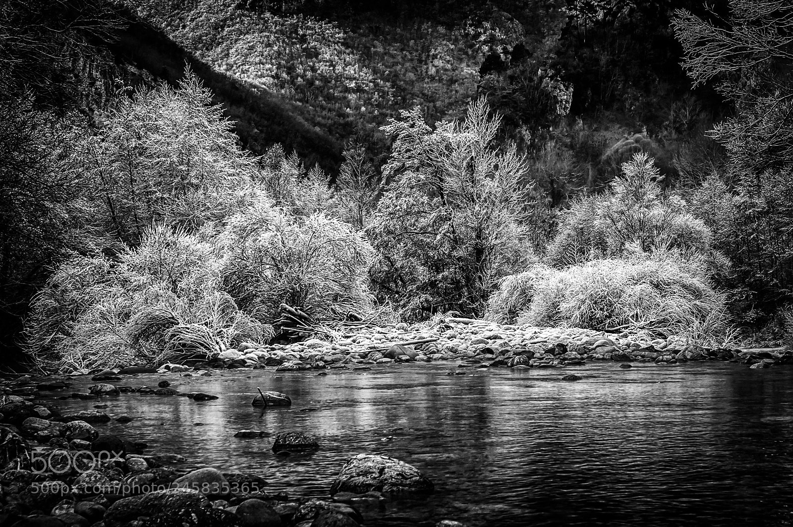 Sony Alpha NEX-6 sample photo. Untitled photography