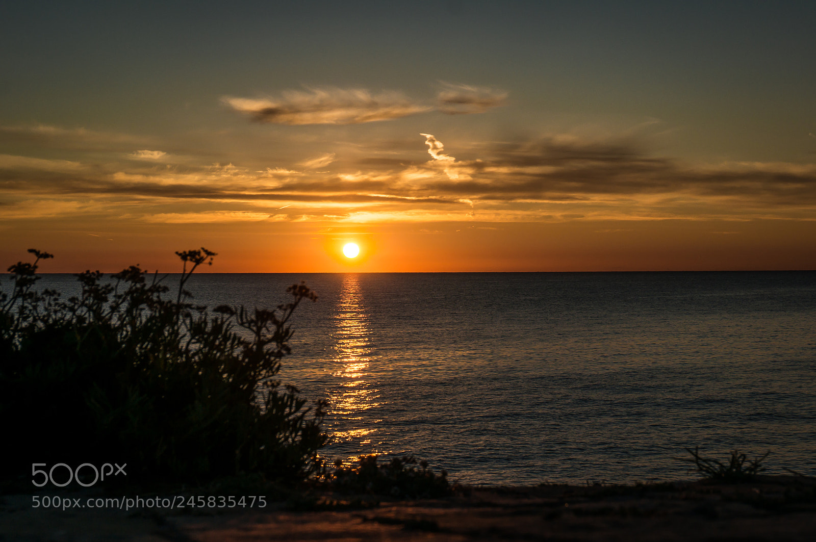 Sony Alpha NEX-6 sample photo. Untitled photography
