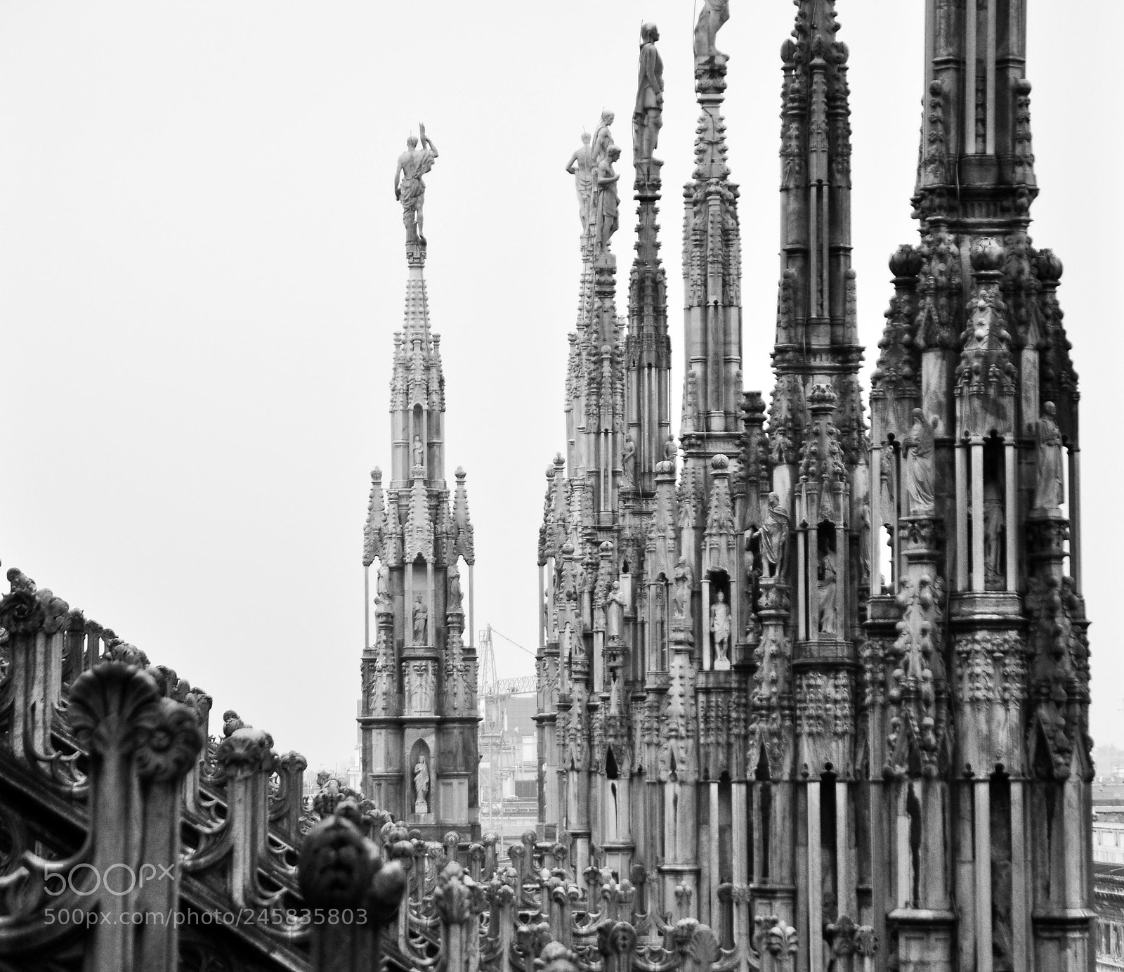 Nikon D90 sample photo. Saints photography