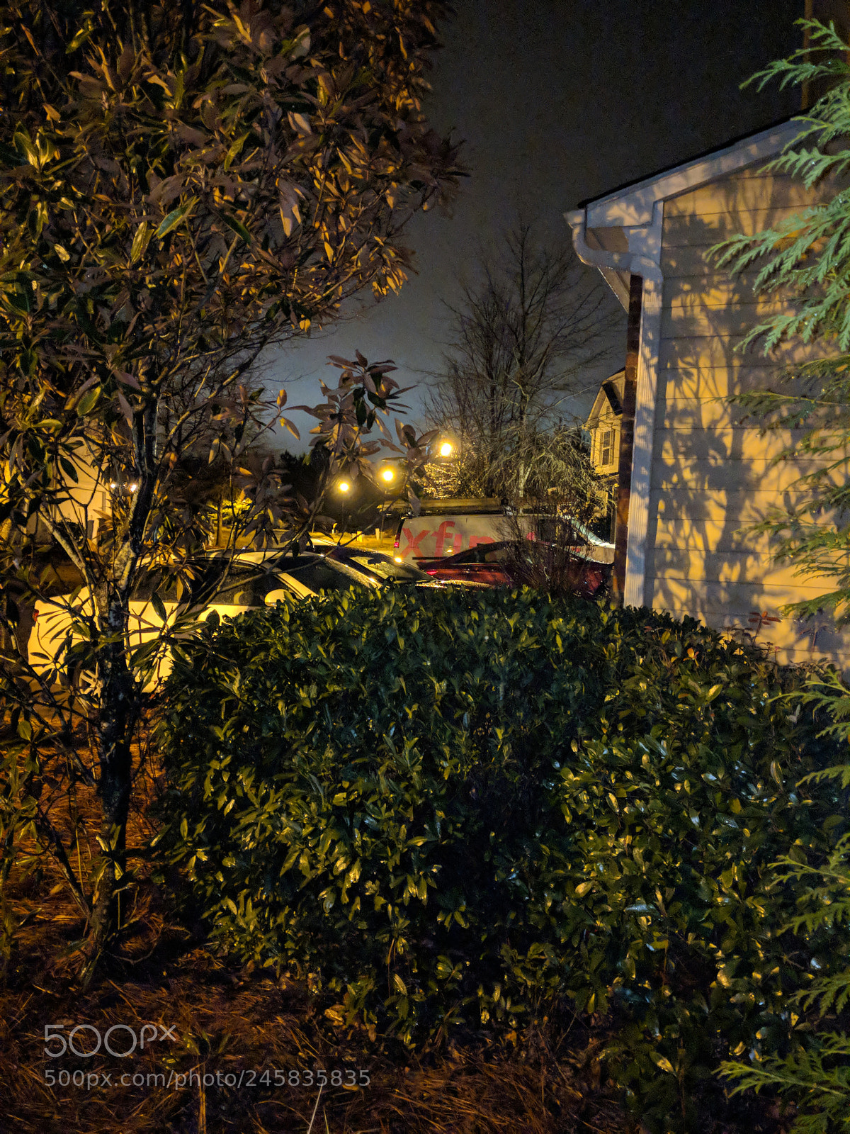 Google Pixel 2 XL sample photo. Untitled photography