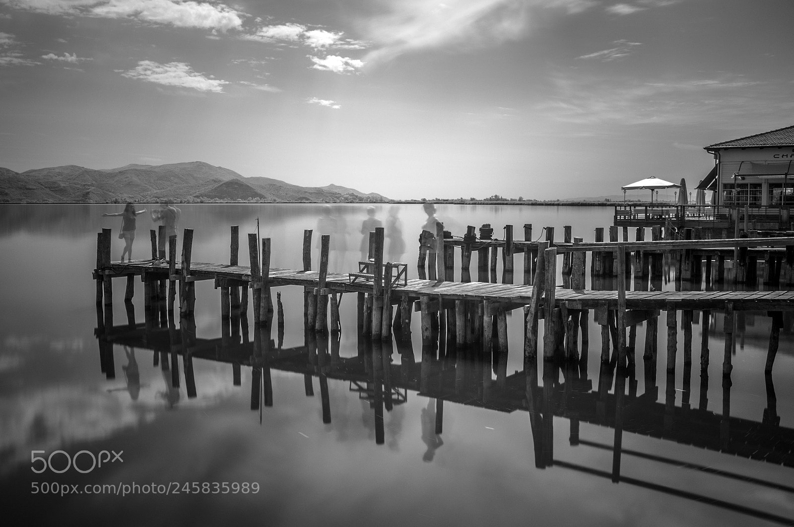 Fujifilm FinePix X100 sample photo. Massaciuccoli photography