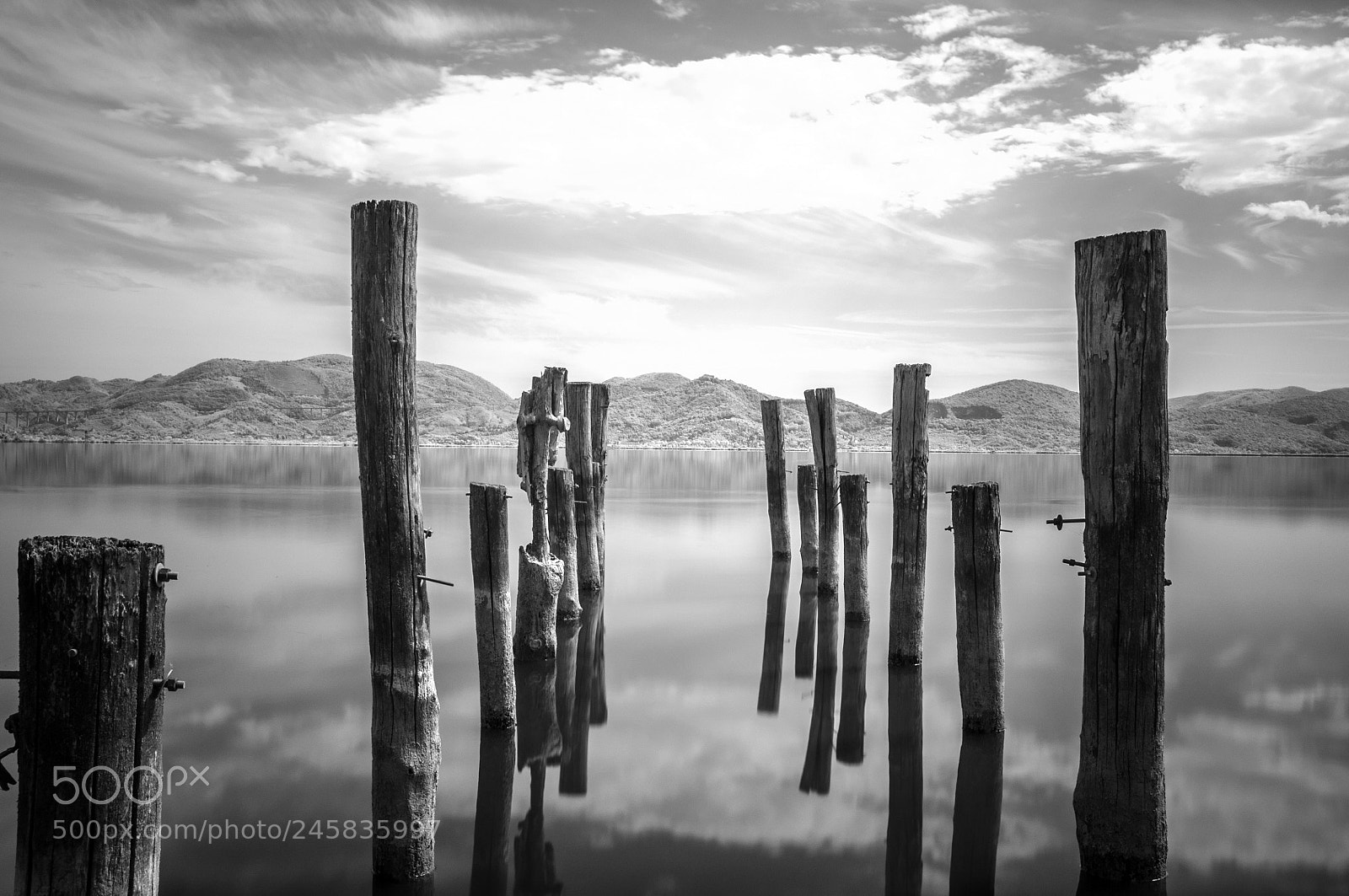 Fujifilm FinePix X100 sample photo. Massaciuccoli photography