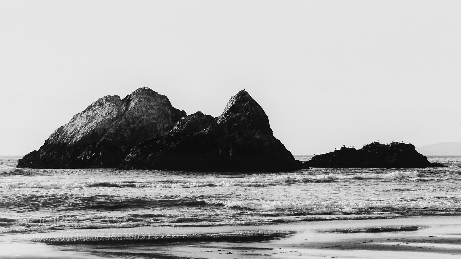 Canon EOS 400D (EOS Digital Rebel XTi / EOS Kiss Digital X) sample photo. Seagulls on rocks, ocean photography
