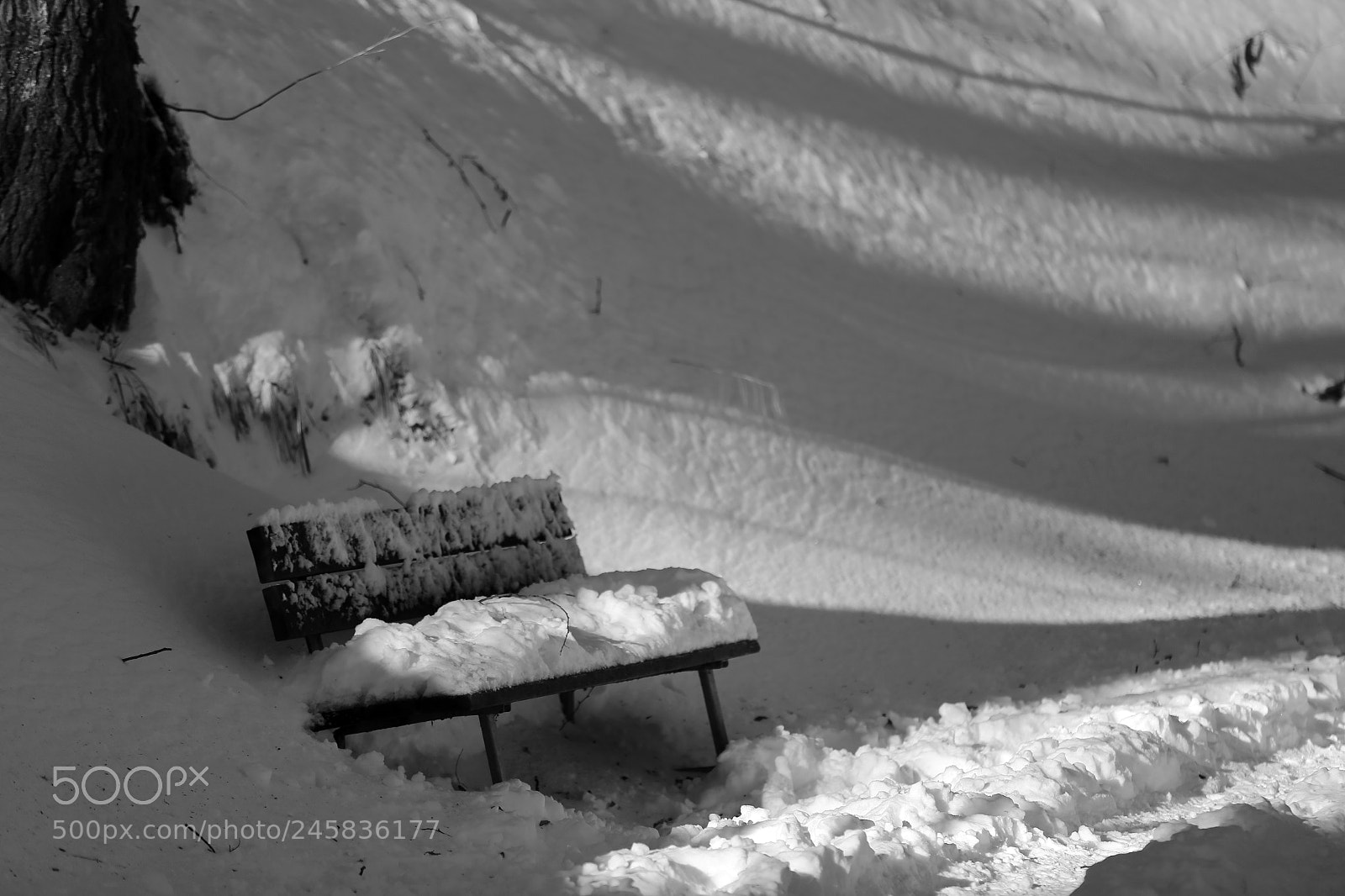 Canon EF 70-200mm F2.8L IS II USM sample photo. Winter's silence photography