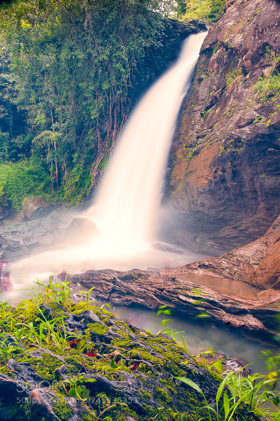 Nikon D7200 sample photo. Wayanad photography