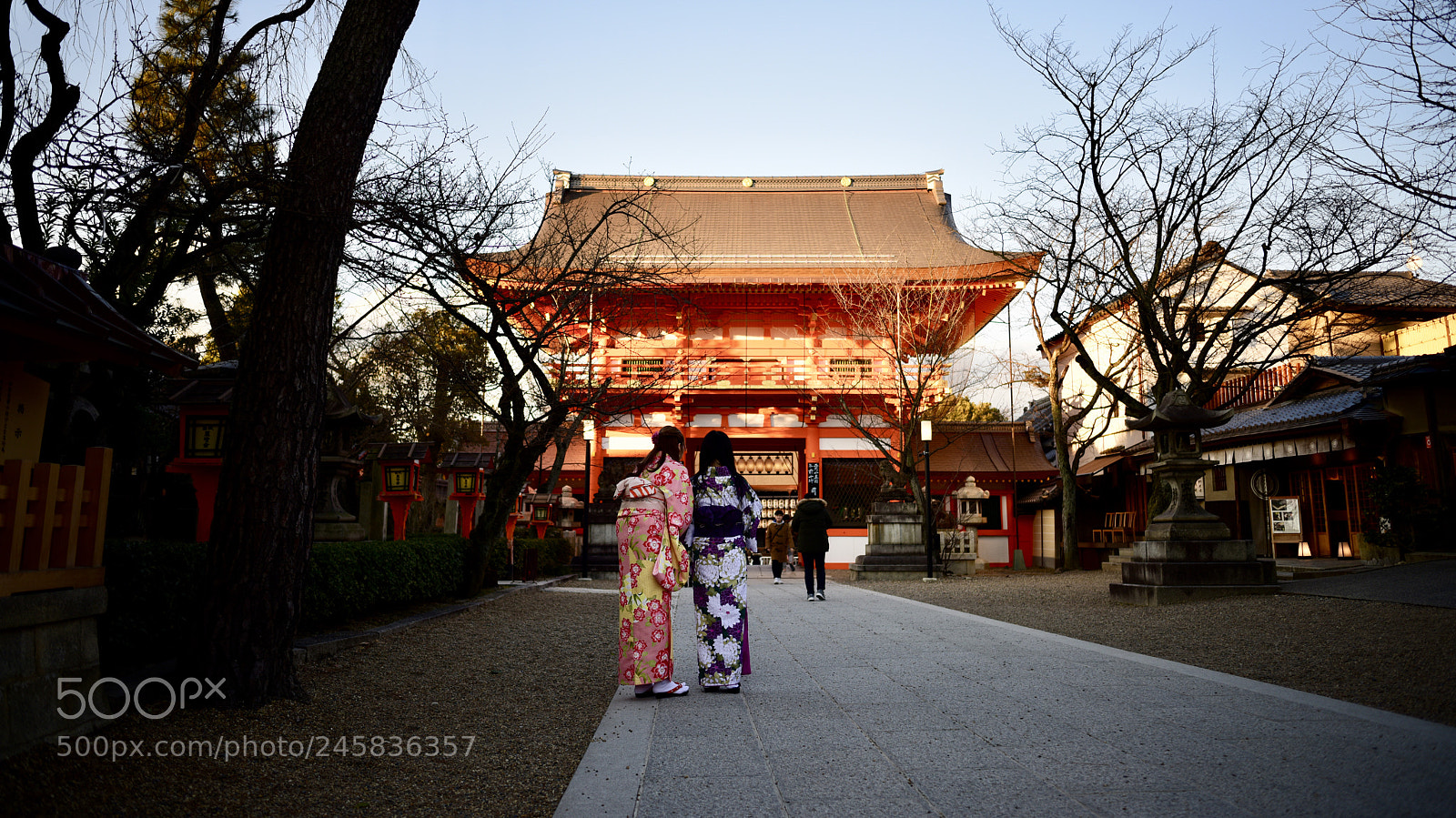 Nikon D810 sample photo. Kyoto photography