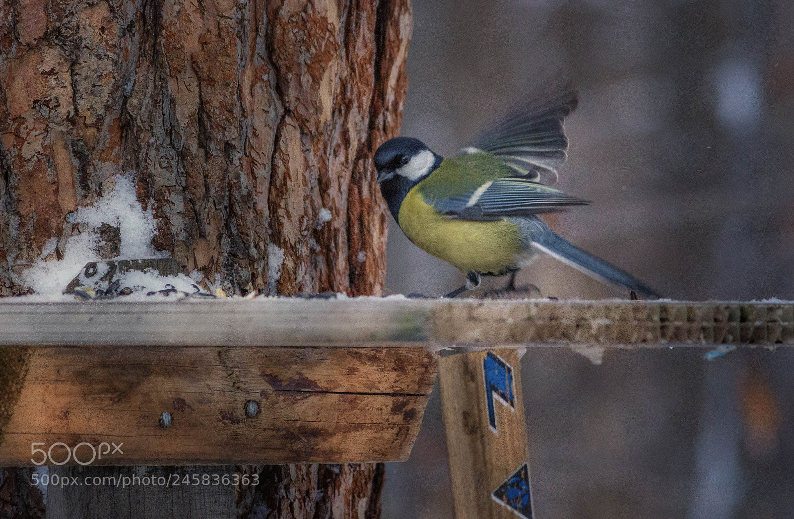 Canon EOS 600D (Rebel EOS T3i / EOS Kiss X5) sample photo. Edit edit edit photography