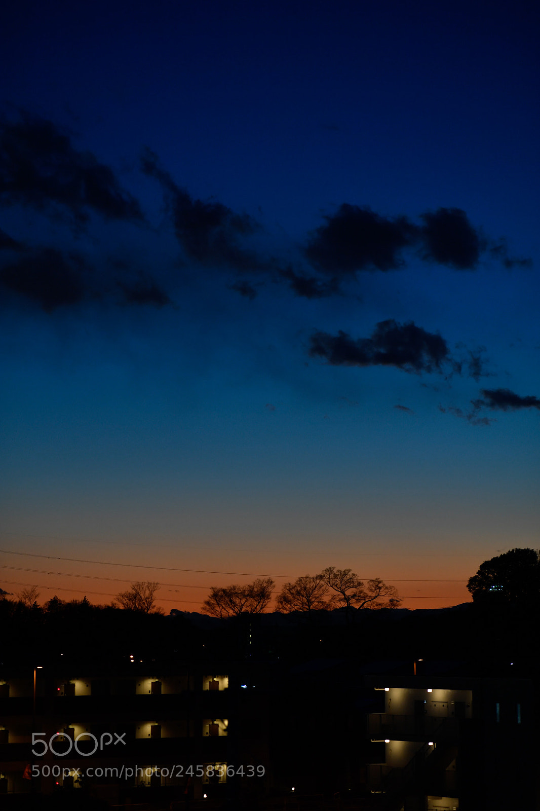 Nikon D5 sample photo. Magic hour in mid-february photography