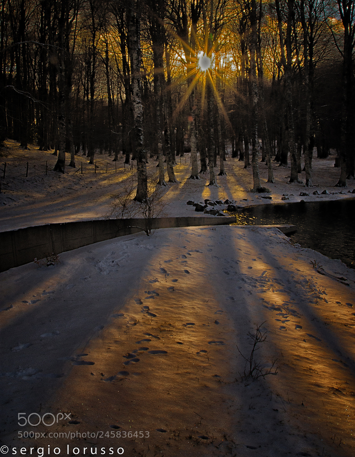 Nikon D7200 sample photo. Terra di lucania photography