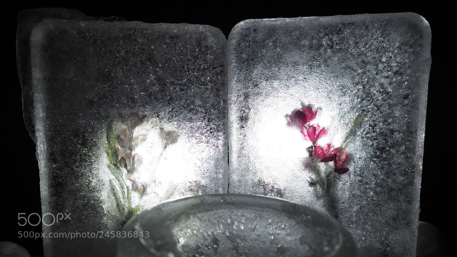 Olympus OM-D E-M1 Mark II sample photo. 咲き続ける 奈良井宿 | keep on blooming naraijyuku photography